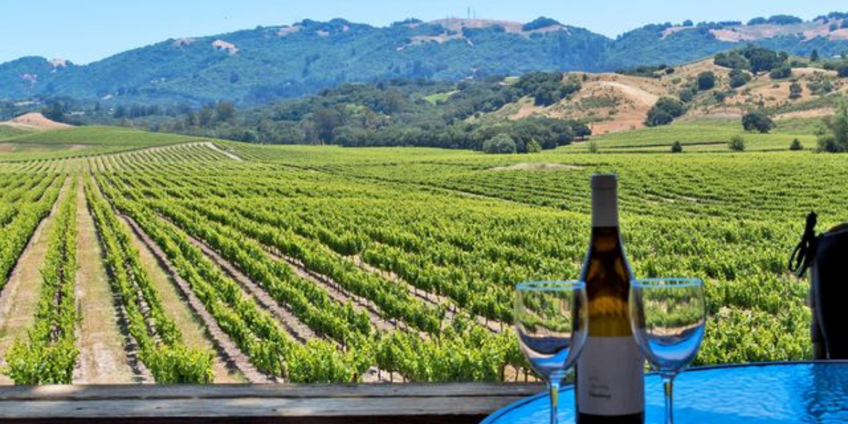 Things To Do Labor Day Weekend In California