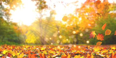 Here’s Why Sun Protection Is Still Important For Fall