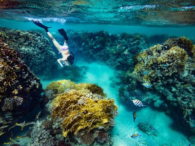Sunscreen and The Effects it Has on our Ocean