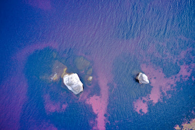 How Has Offshore Drilling Affected Oceanic Life?