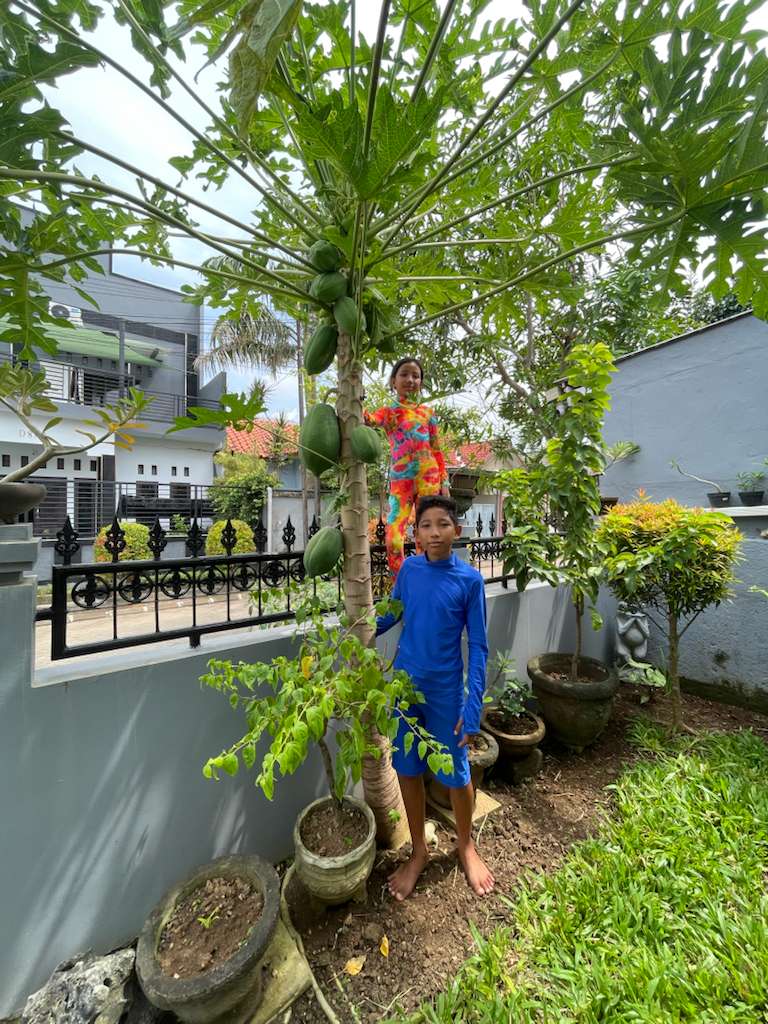 Boy's Short Body Swimsuit - UPF 50+ Sun Protective Swimwear - Royal Blue